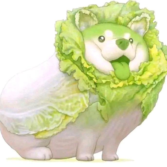 菜🐶子