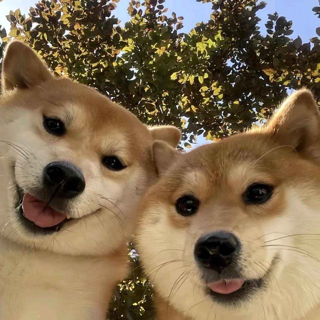 :