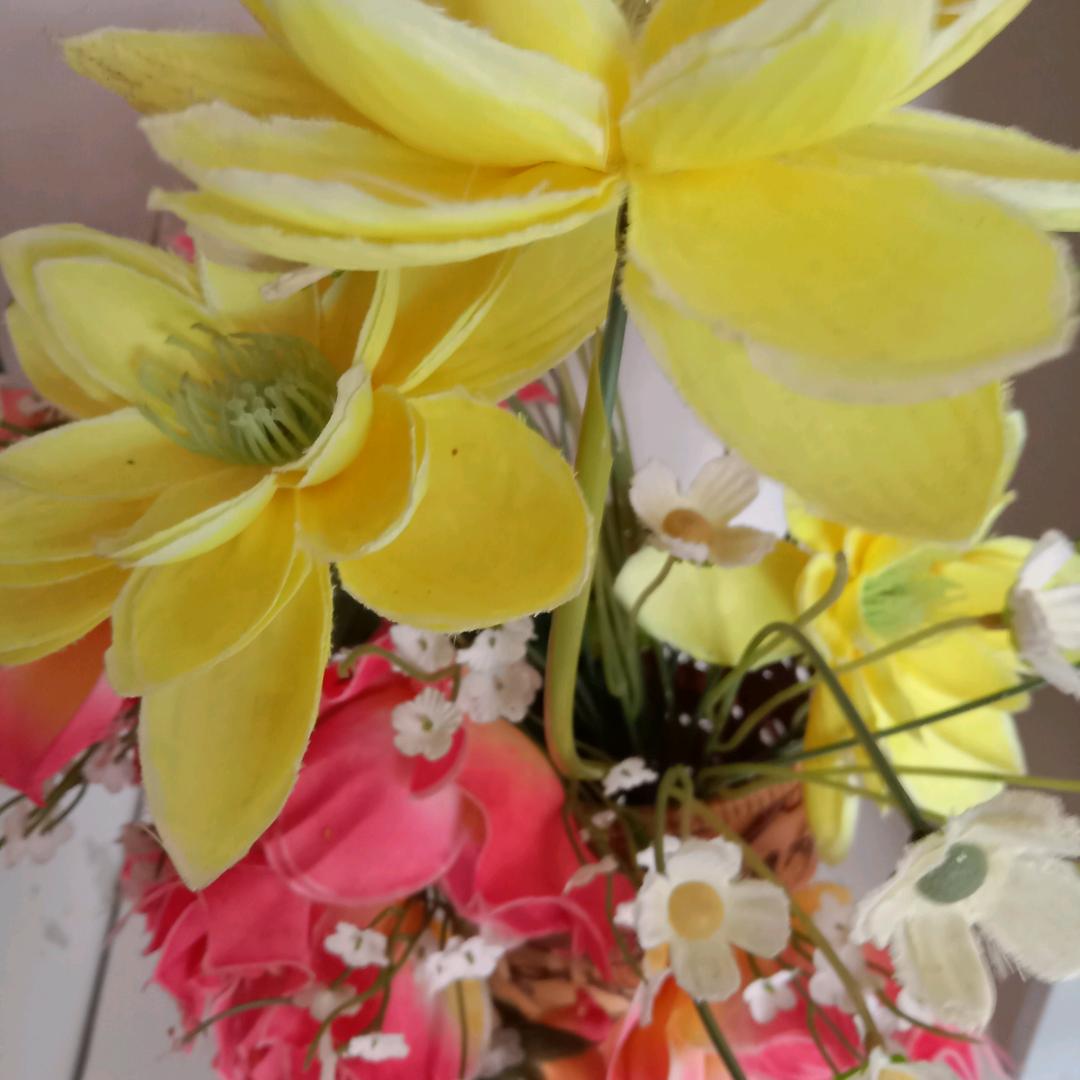 天天开心🌻