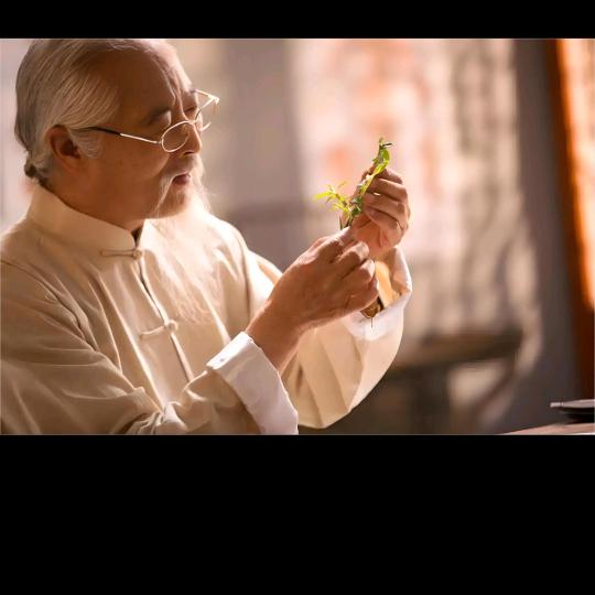 王氏传承收徒文化