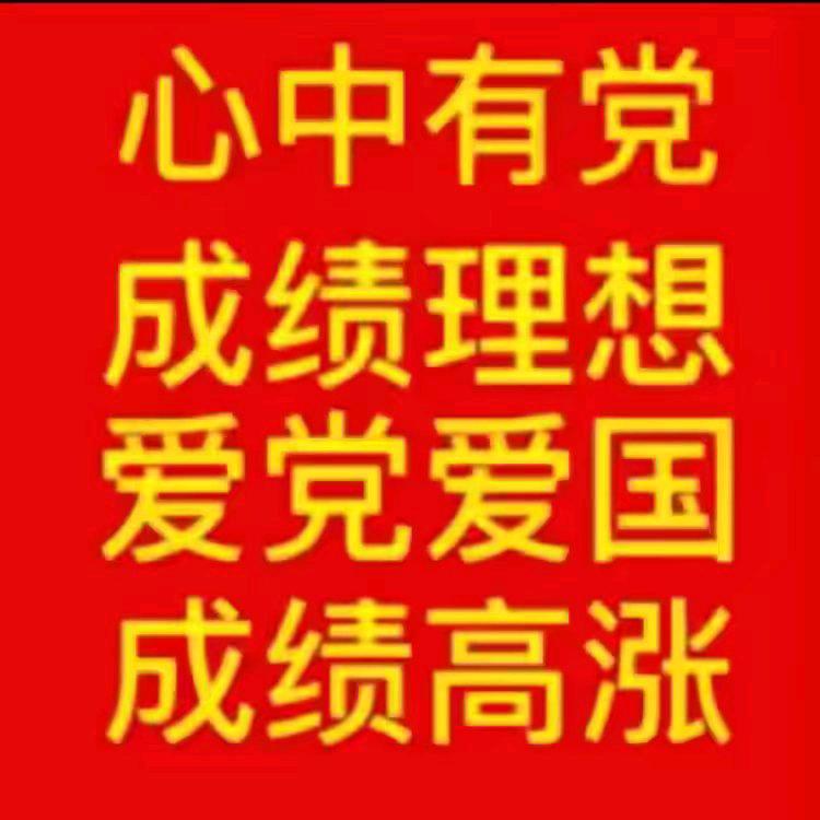 励志的咸鱼