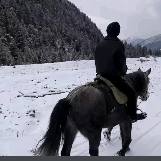 我很专一只爱钱