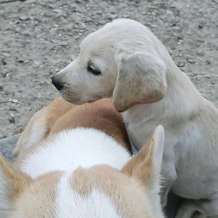 感恩相遇，有你真好