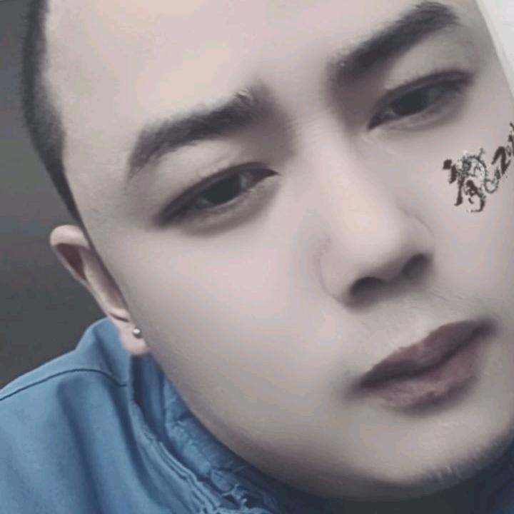老阳《汽车油漆》