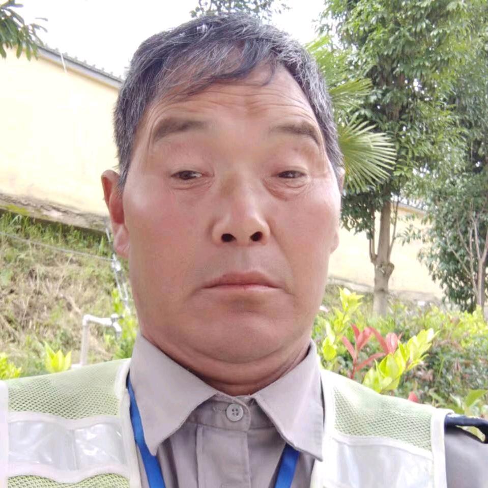 一帆风顺