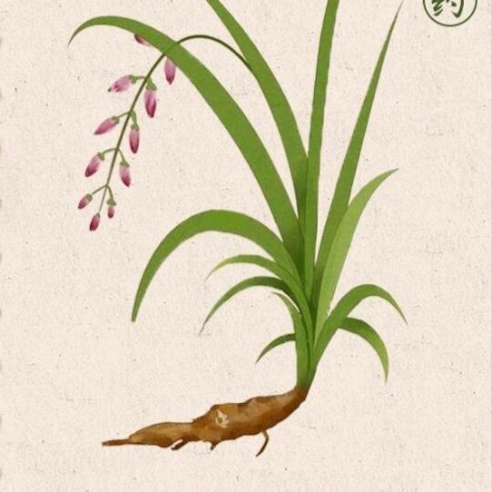 曲沃侯马三农指导员