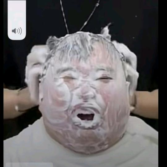 北部湾海哥