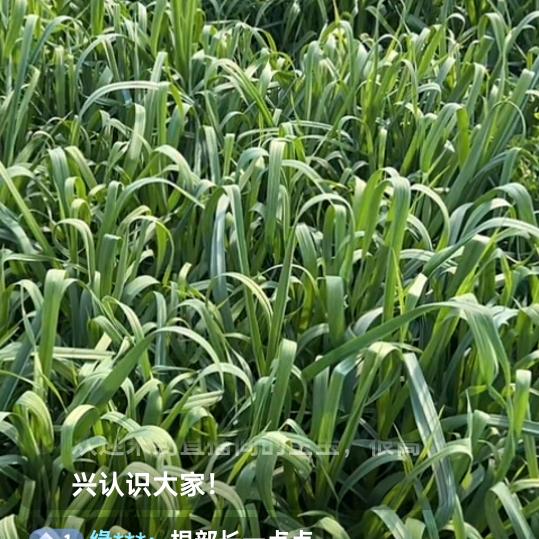 从头再来。