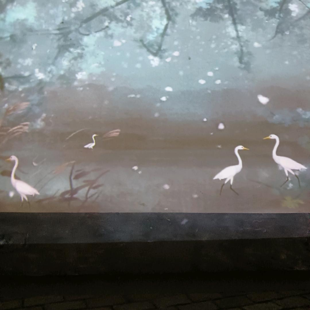 ，？？？？？？