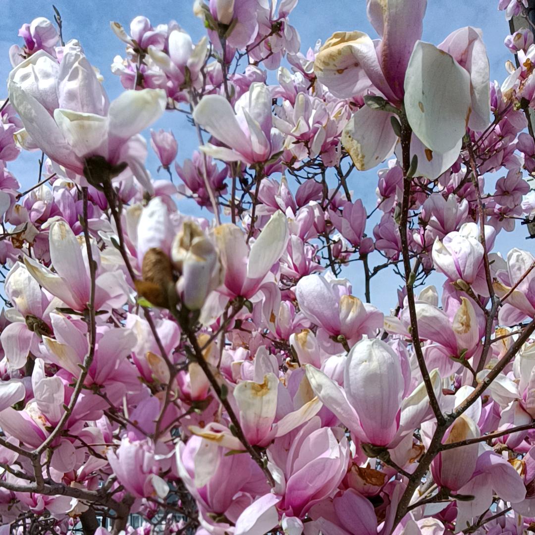 眼镜哥哥，于，