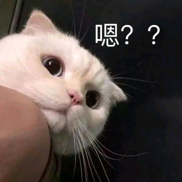 想上幼儿园～🙃