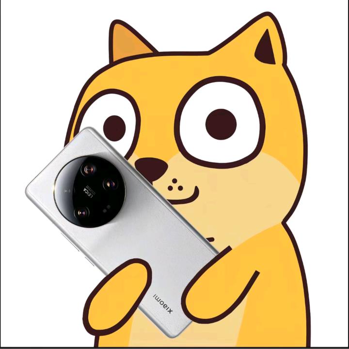 岳西卖小米的🐝