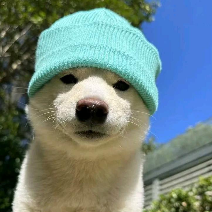 大明星