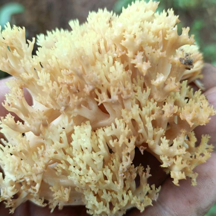 骑着蜗牛闯天涯