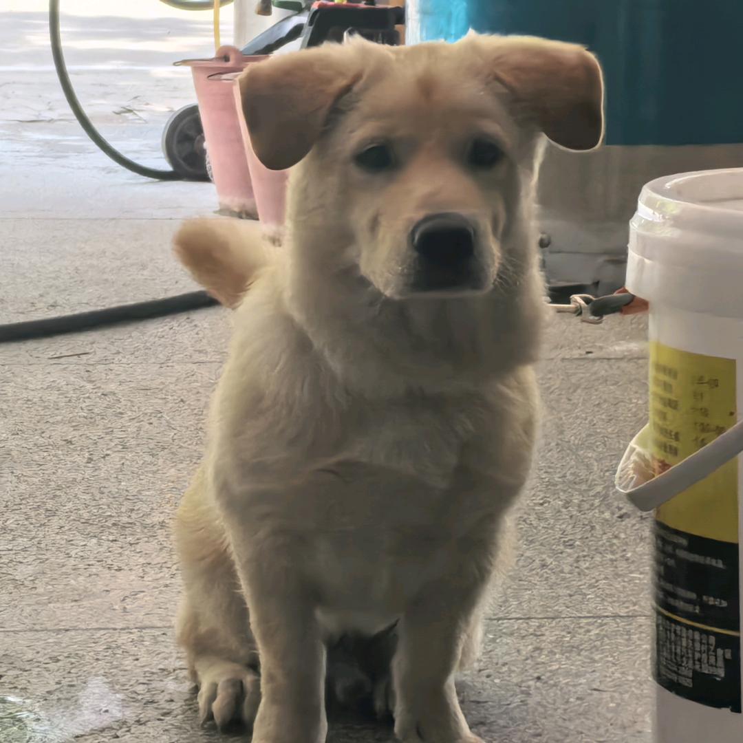 远发汽修徐小姐