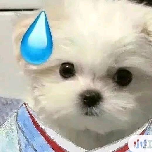 小茄