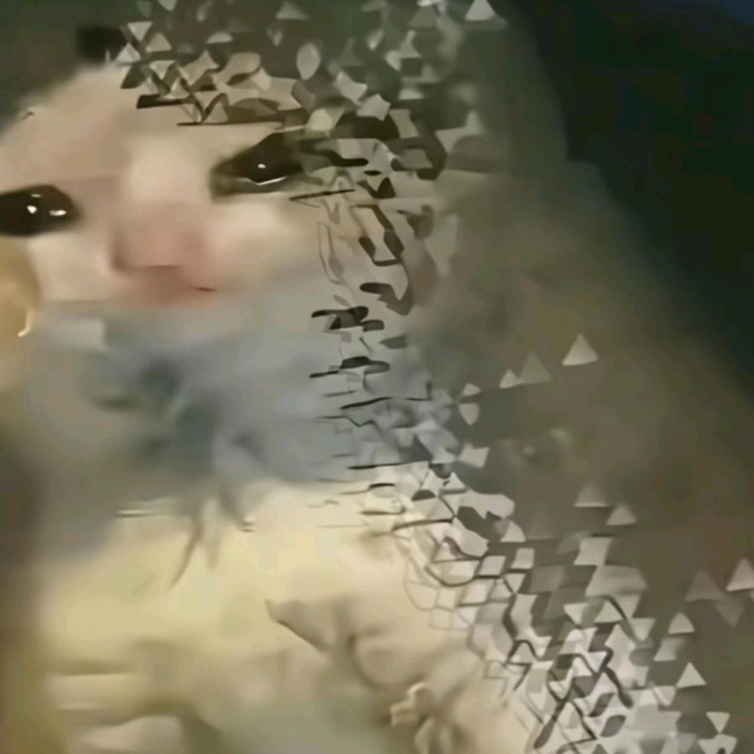 声音很爽技术很硬不说脏话day0