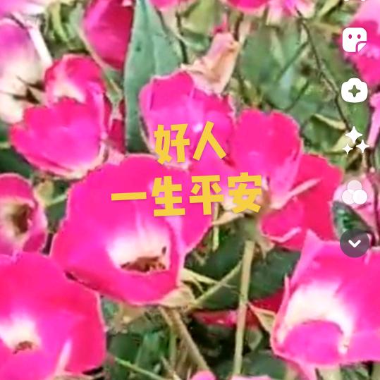 用户1129