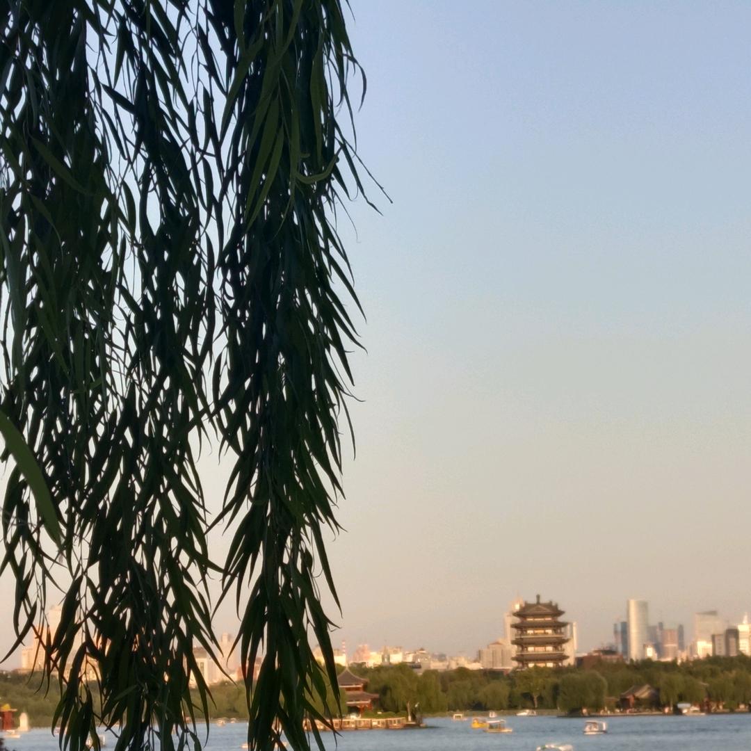 小胖在路上