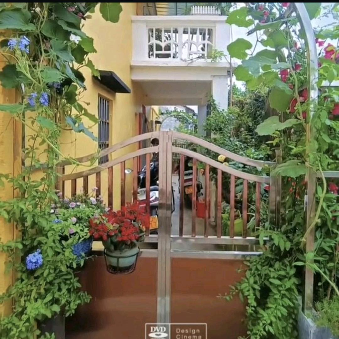 我是阳台小花园啊梅