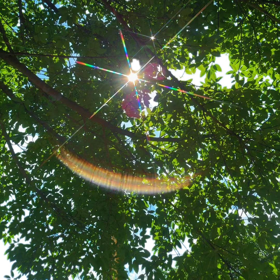 克斯维尔的明天🌽💖💚🇨🇳