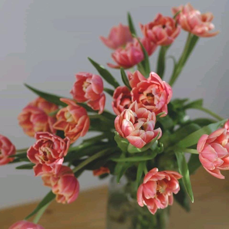 .木林森