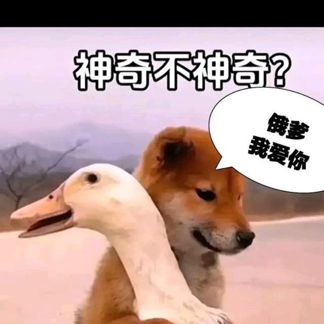 有多少爱可以胡来！