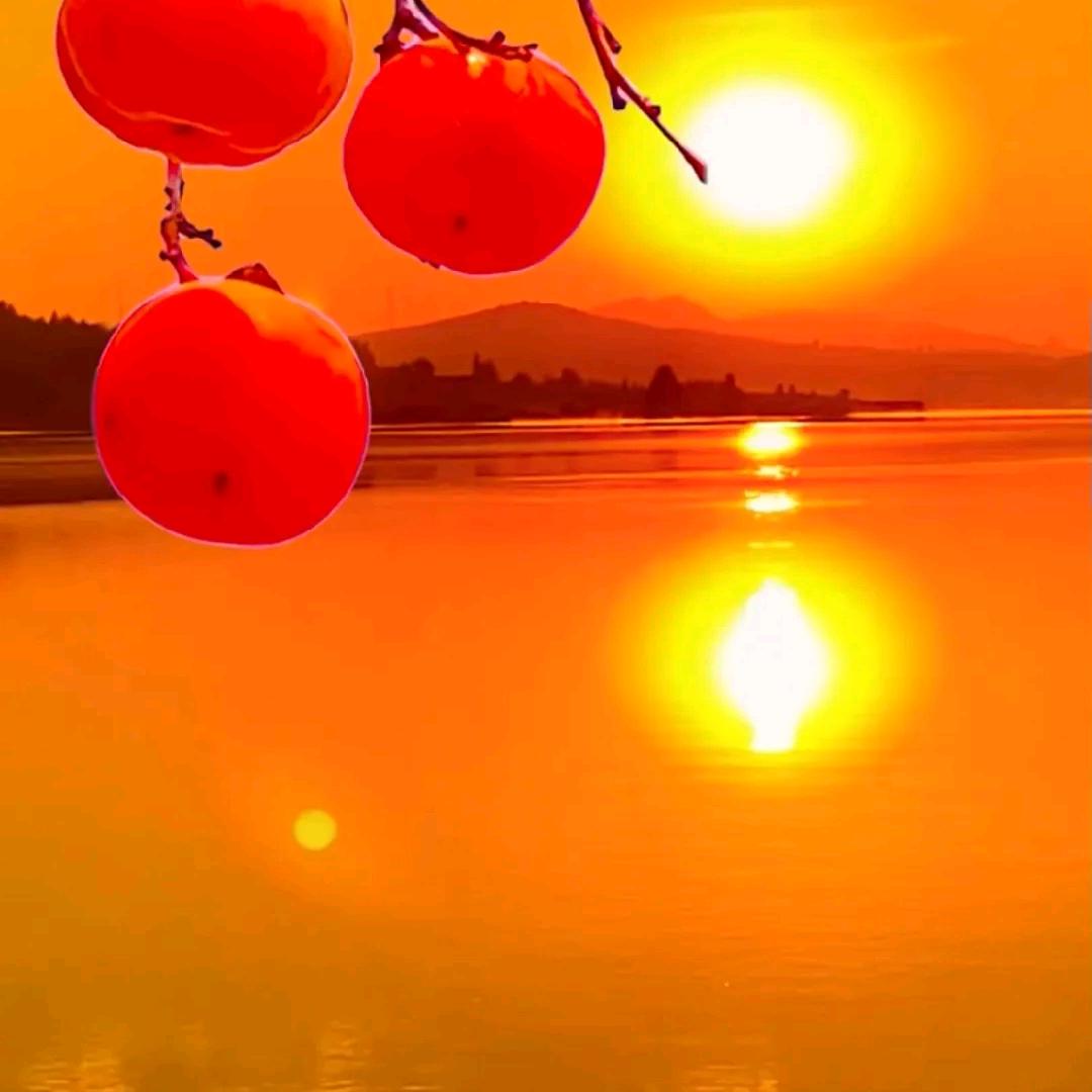 开心过好每一天