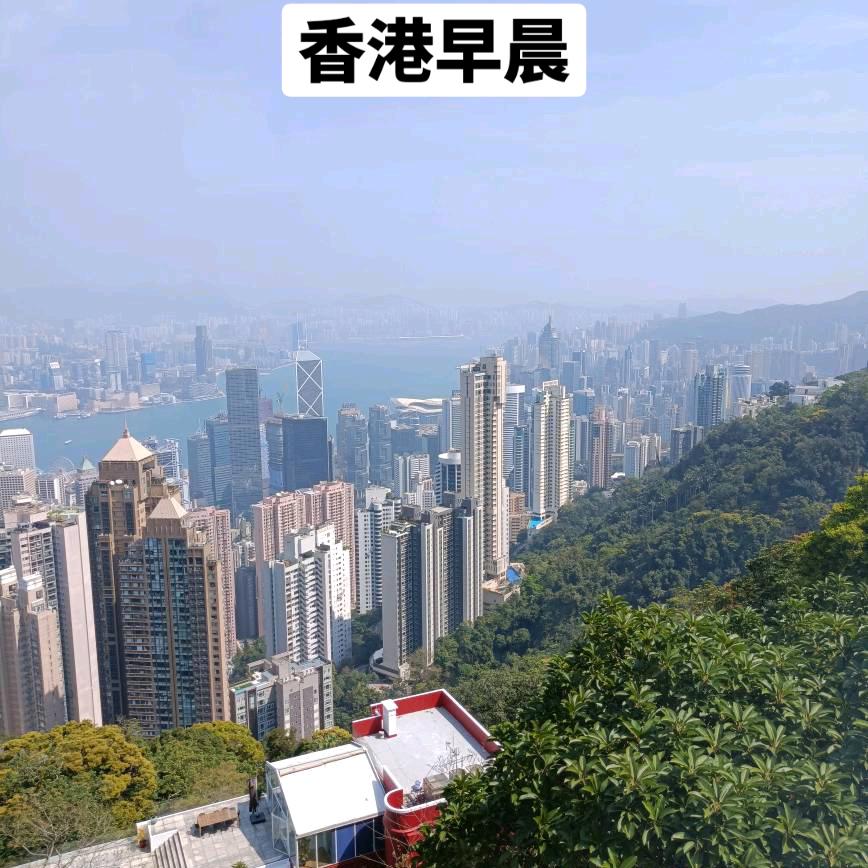 大湾区，阿陳