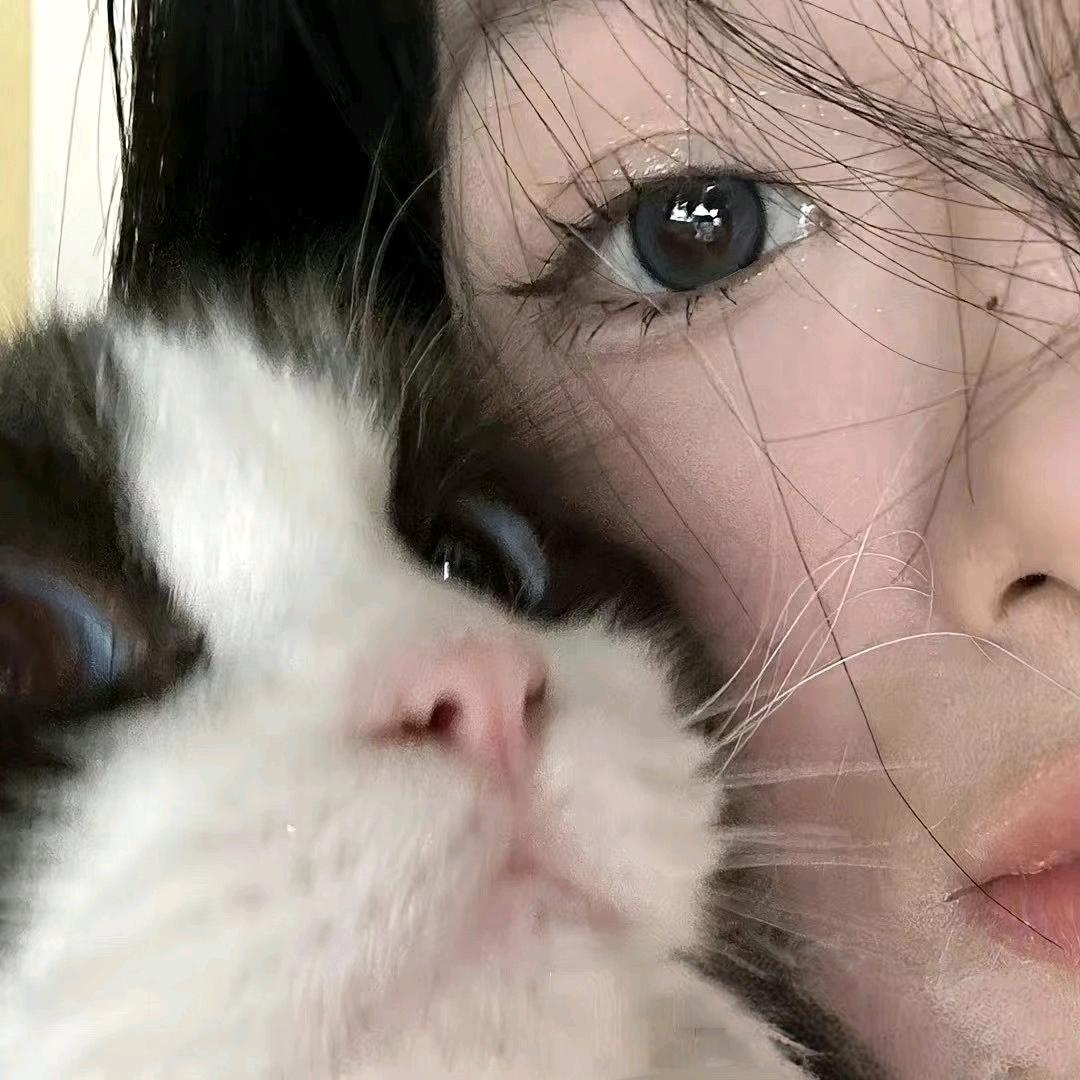 突秃兔
