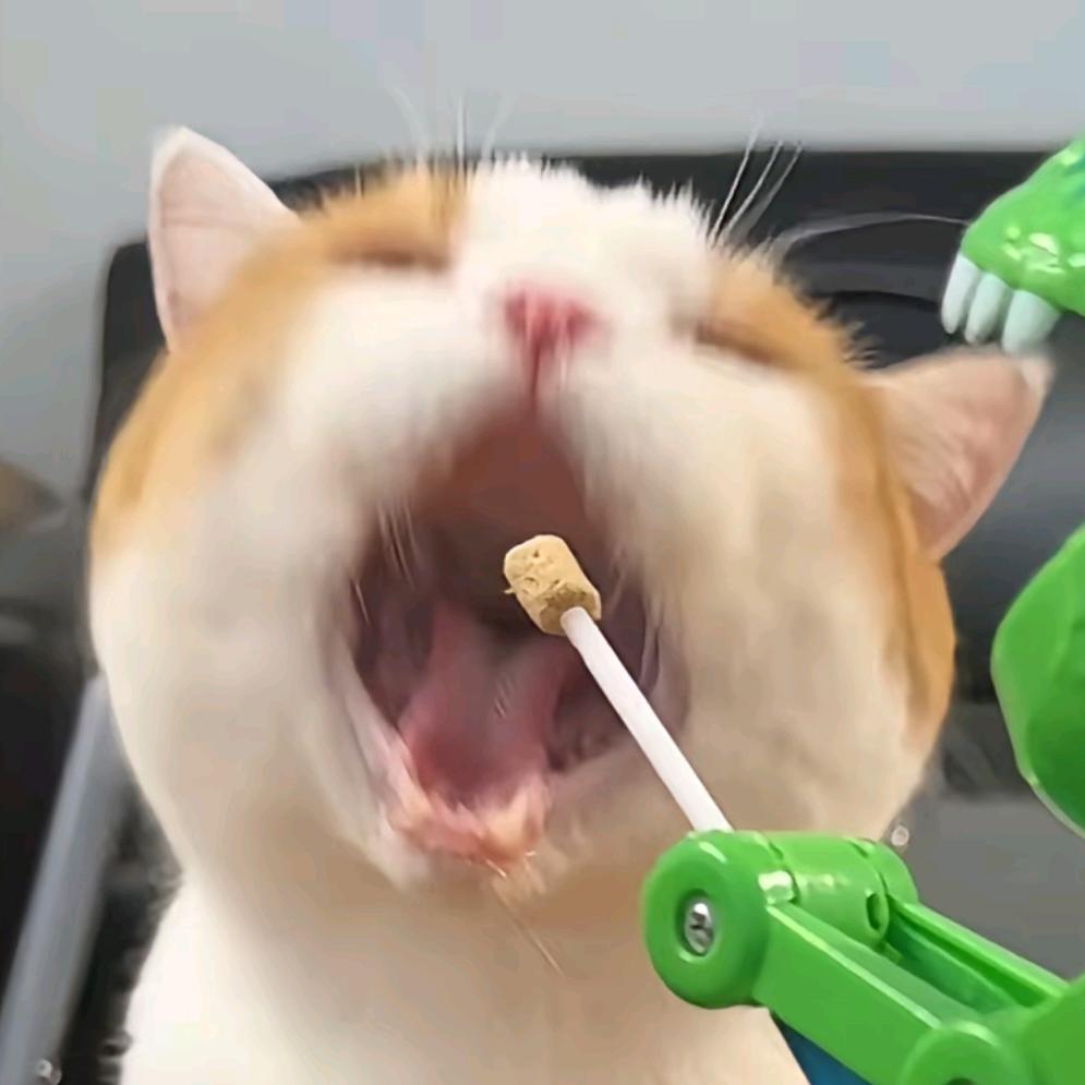 目分冬.