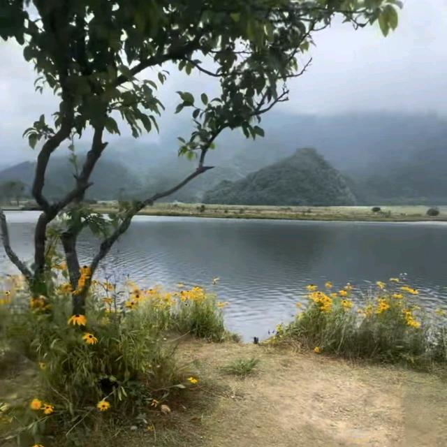 赵哥锂电 银隆35