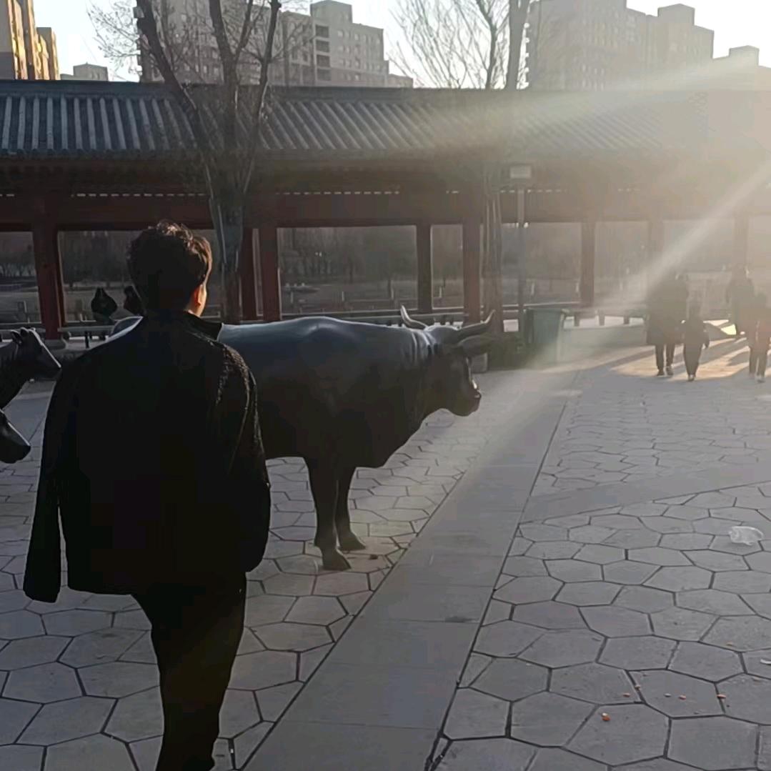 剪辑 李乐
