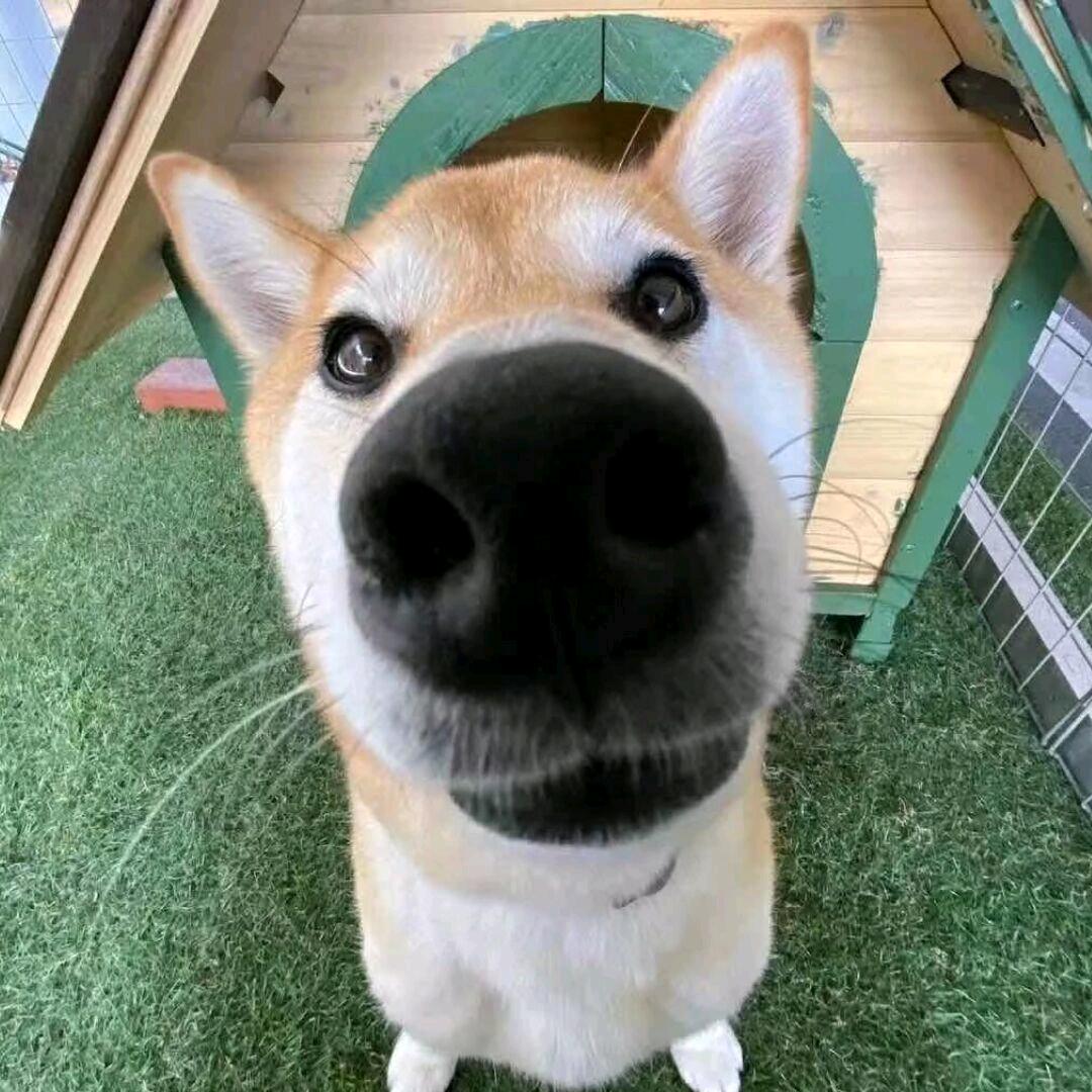 不定积分要加C