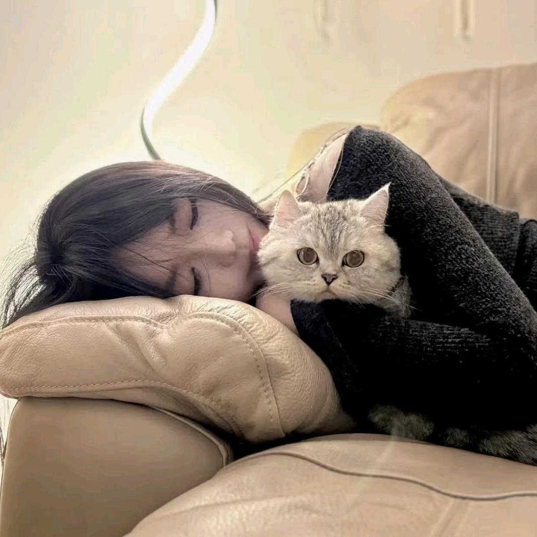 ·烫手的冰·💤