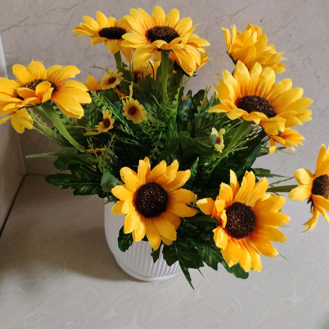 🌷🌷朱珠🍎🍎🌹🌹