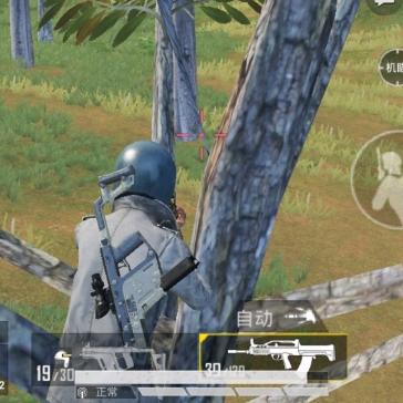 卤蛋，和平精英雨林各种寄树小技巧。