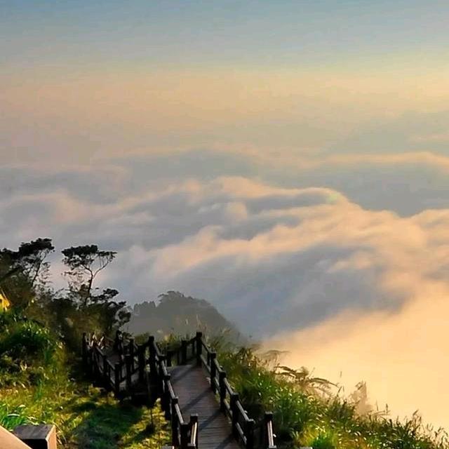 立清乐夏津景博电子商务有限公司洗护清洁专卖店