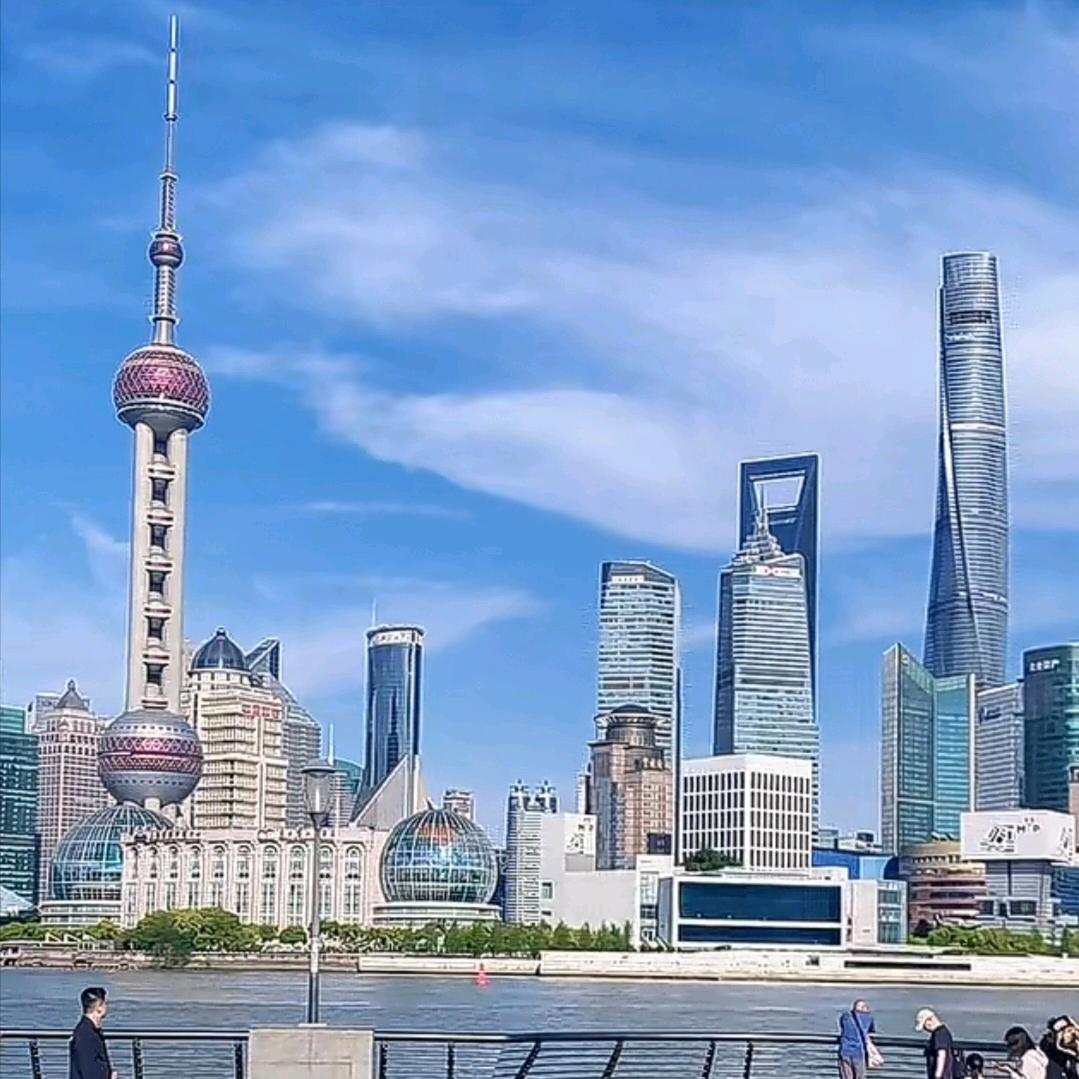 玉树林风