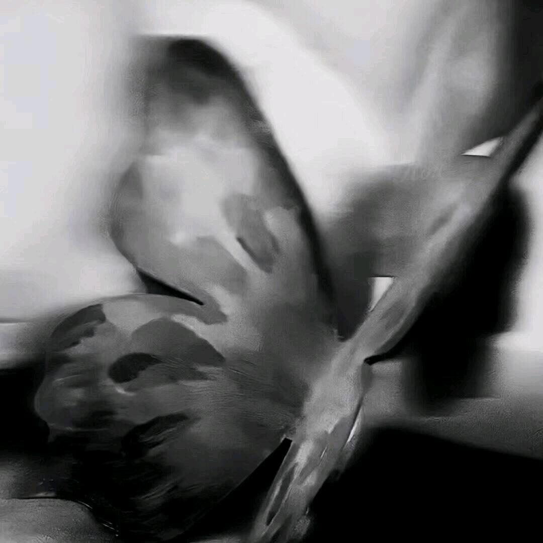 泠衅