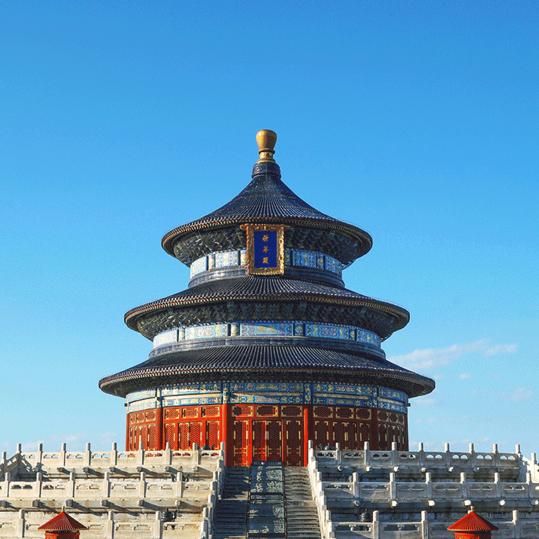 厂弟小马