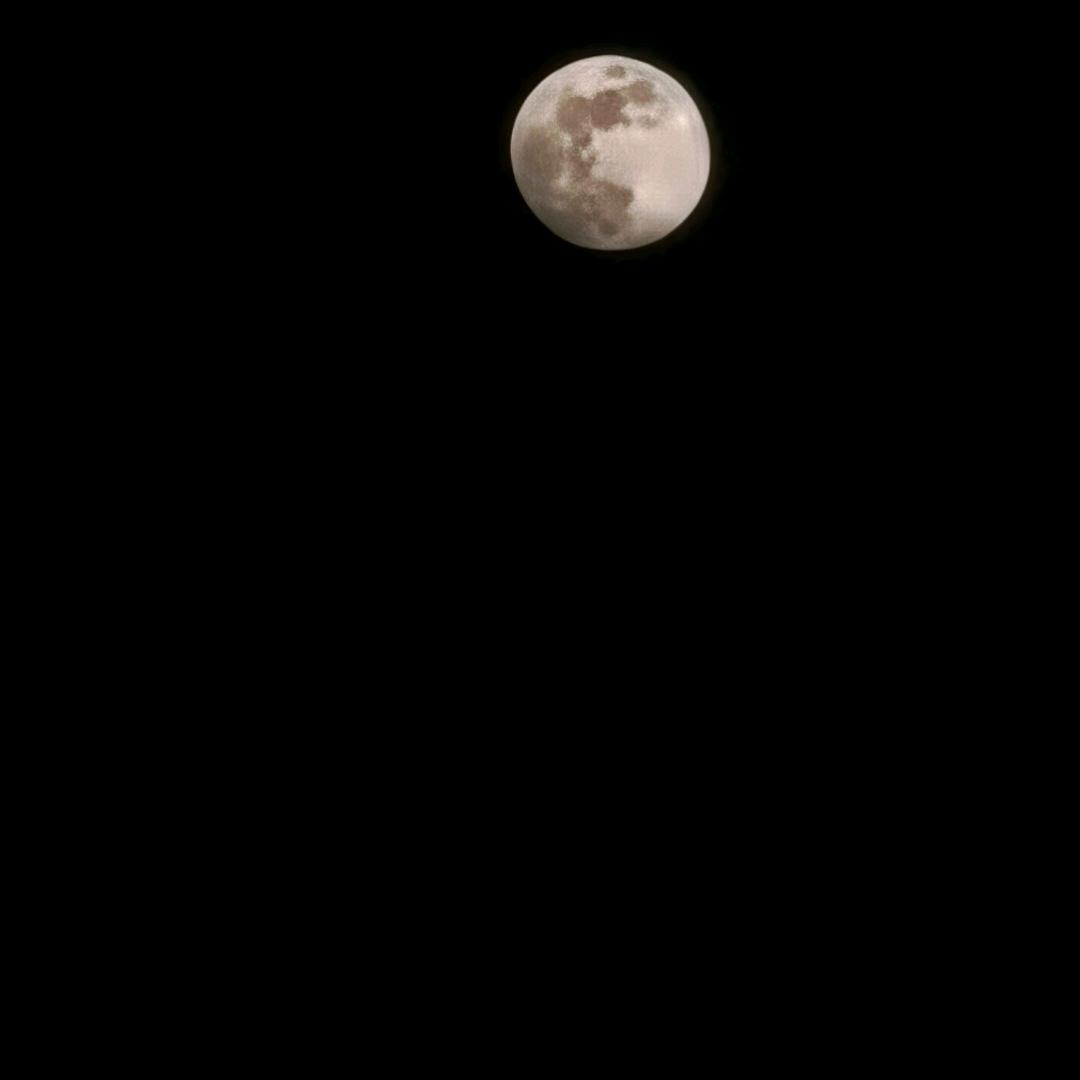 素手摘星