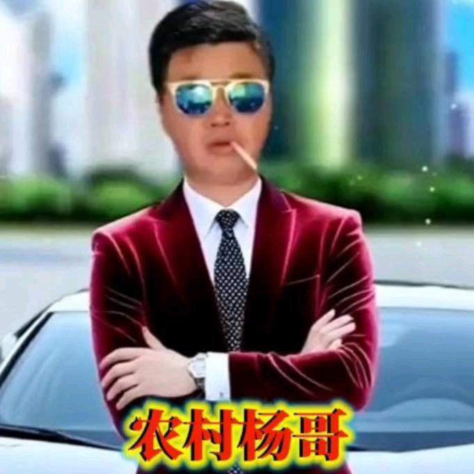 农村杨哥(小号)