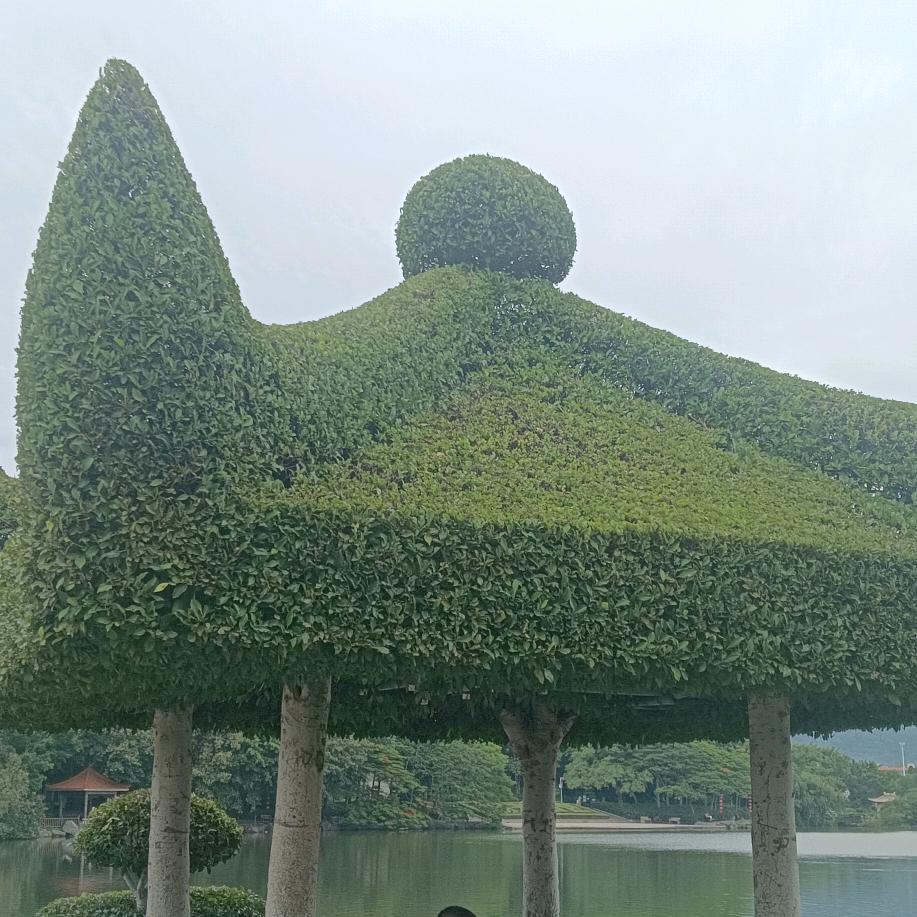 寒亭
