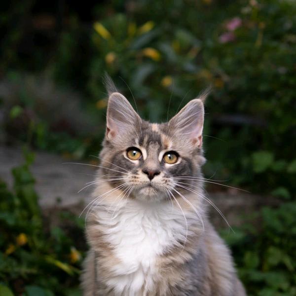 卍卟༗聞♥卟༒問卐