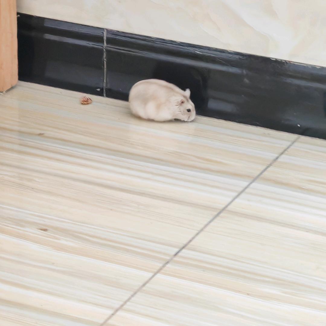 武林外传—可乐