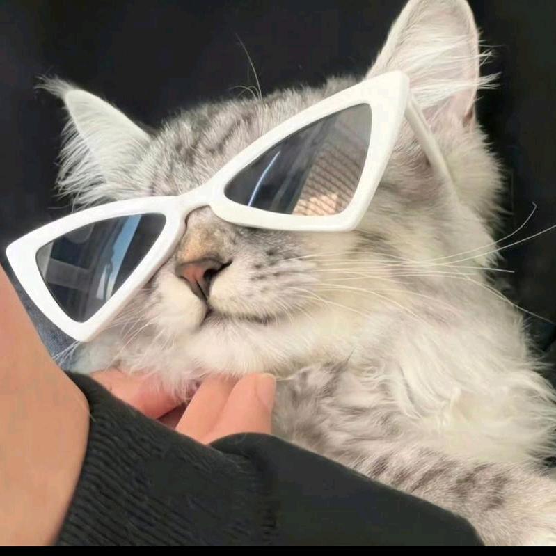 抱歉我有点帅（崩铁）