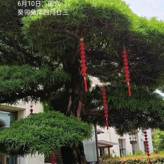 哈哈(ಡωಡ)hiahiahia