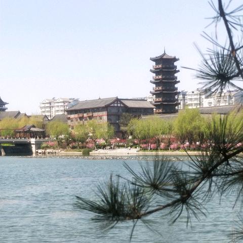 阳光