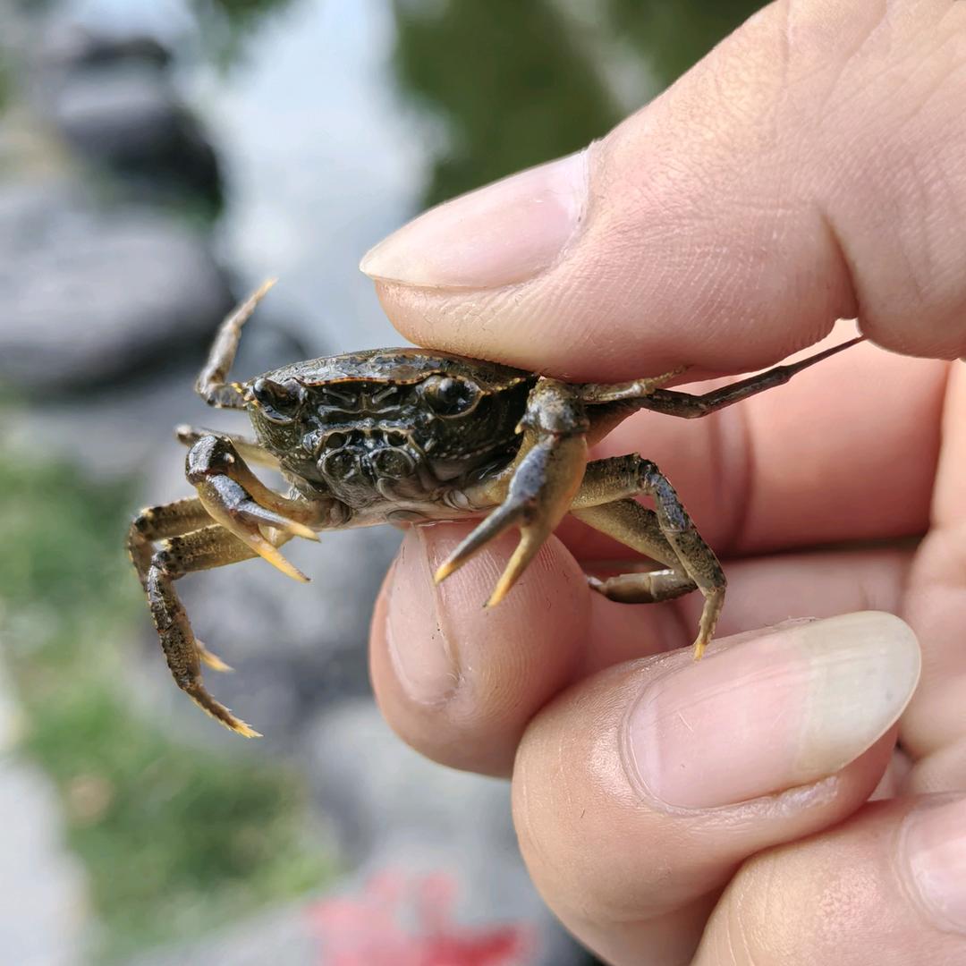 小胡很努力